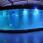 Hotel Aquarium Indonesia Pangandaran